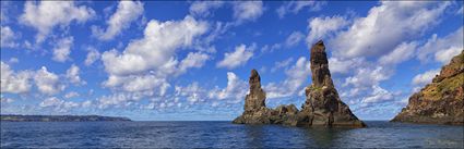 Sea Stacks - Nepean Island - Norfolk Island - NSW (PBH4 00 12363)